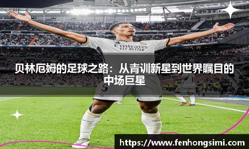 yy易游